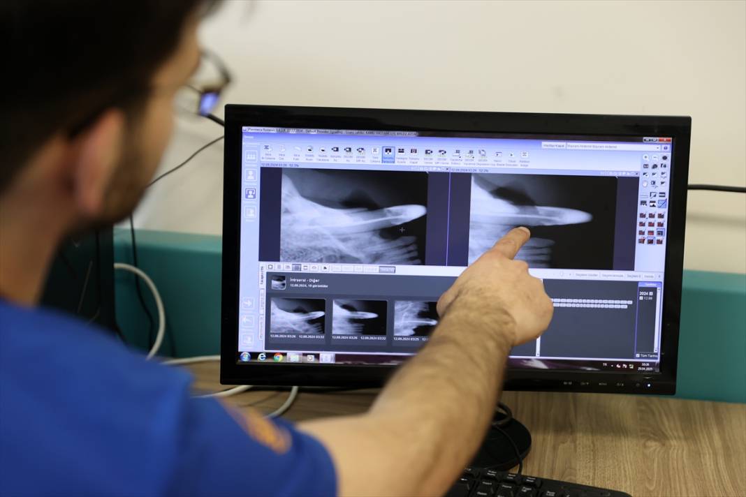 Konya'da balkondan düşen kediye insan tedavisi uygulandı 7